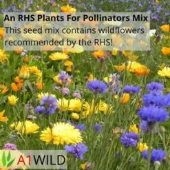 A1WILD UK Native 100% Wildflower Seed Mix -Lawn Care Store 3 9