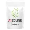 A1 Equine - Five Herbs 1KG