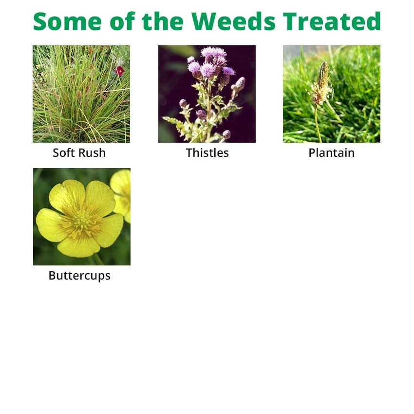 Agritox 10L - Grassland Weed Killer Containing MCPA 2 Agritox 10L - Grassland Weed Killer Containing MCPA - Image 2