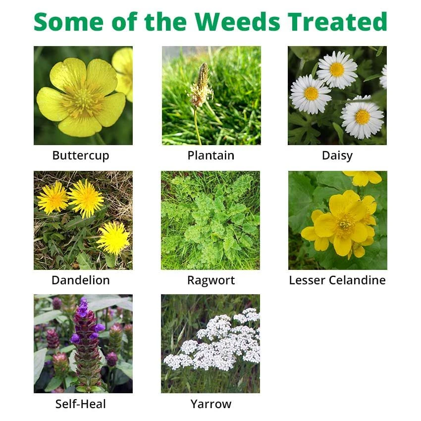 Depitox500 - Grassland Weedkiller Boom & Spot Spraying Approval 2 Depitox500 - Grassland Weedkiller Boom & Spot Spraying Approval - Image 2