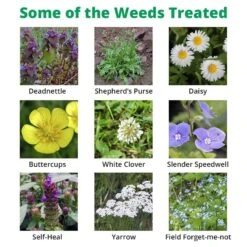 Dicophar - Selective Lawn Weed Killer 7 Dicophar - Selective Lawn Weed Killer -Lawn Care Store dicophar extra