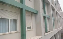 Bird Free - Immediate Bird Control Without Causing Harm - Pack Of 15 7 Bird Free - Immediate Bird Control Without Causing Harm - Pack Of 15 -Lawn Care Store dishes on window sill