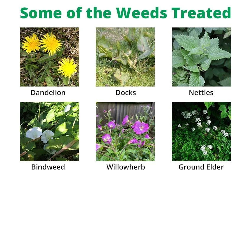 Gallup Home & Garden 1 L - Glyphosate Weed Killer 2 Gallup Home & Garden 1 L - Glyphosate Weed Killer - Image 2