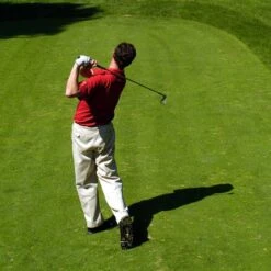 Golf Tees & Fairways Non-ryegrass Grass Seed 20 Kg -Lawn Care Store golf 1 1