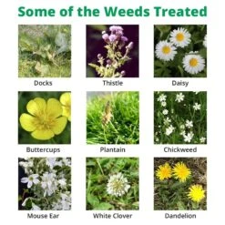 Front Page -Lawn Care Store hygrass extra