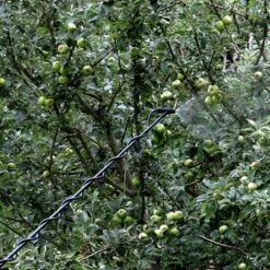 Matabi Telescopic Spraying Lance - C/w Adaptor For Cooper Pegler Triggers -Lawn Care Store matabi telescopic lance 2