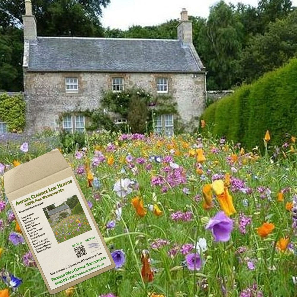 Amvista Clarence Low Height Pure Wildflower Mix 100% 1 Amvista Clarence Low Height Pure Wildflower Mix 100%