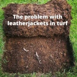 Front Page -Lawn Care Store repel 2 2