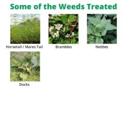 SBK Brushwood Killer 1 L - For Control Of Tough Woody Weeds -Lawn Care Store sbk extra 2