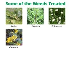 Squire Ultra - Clover Safe Herbicide 5 Squire Ultra - Clover Safe Herbicide -Lawn Care Store squire extra