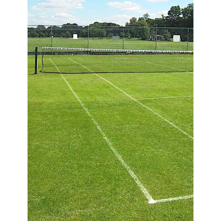 A1 Sports - Tennis Reno Grass Seed 5KG 2 A1 Sports - Tennis Reno Grass Seed 5KG - Image 2