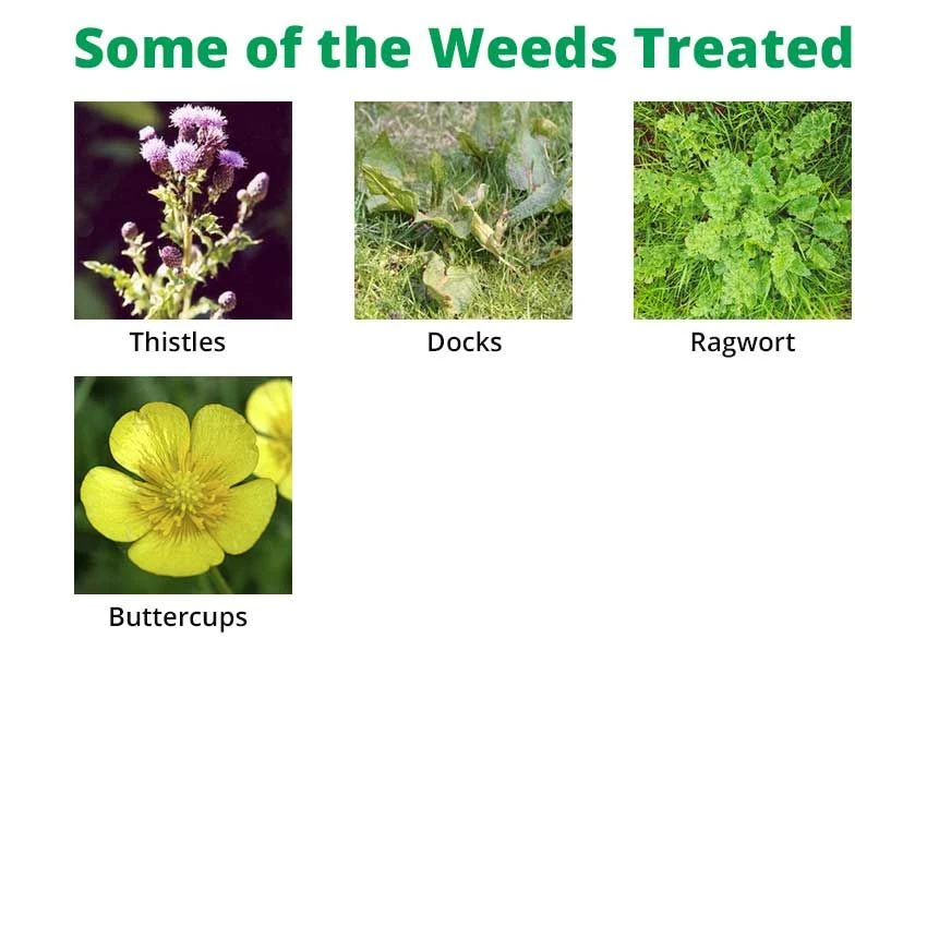 Thrust 5L & Validate 1L Bundle -Improving Ragwort & Weed Control 2 Thrust 5L & Validate 1L Bundle -Improving Ragwort & Weed Control - Image 2